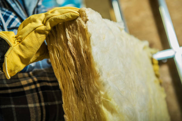 Best Cellulose Insulation in Bethel, NC